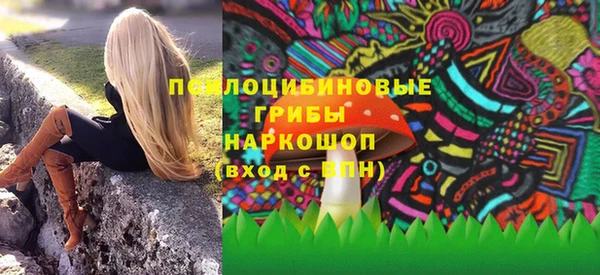 тгк Абаза