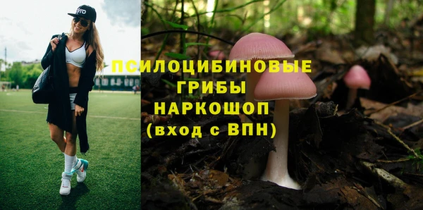 Альфа ПВП Снежногорск