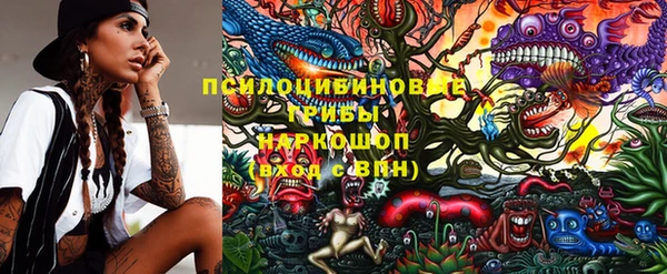 амф Ладушкин