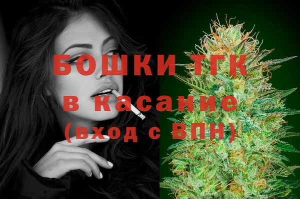 тгк Абаза