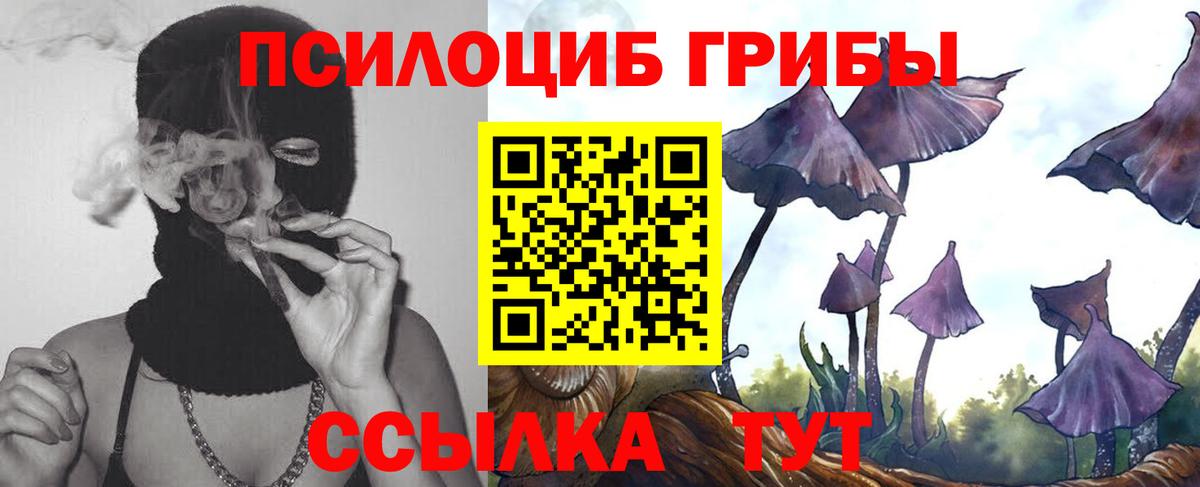 Галлюциногенные грибы Cubensis  Вход с VPN  Карпинск  Псилоцибиновые грибы мицелий 