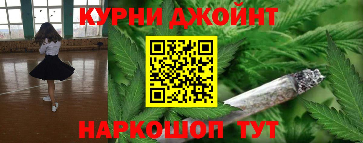 Канабис сатива  Канабис план  Карпинск  Вход с VPN 
